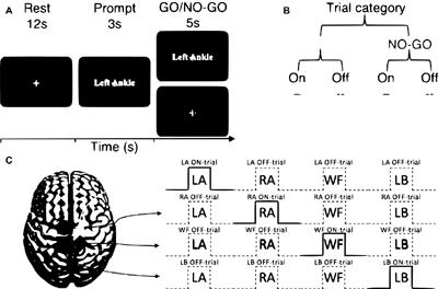 Distinct Neural Correlates Underlie Inhibitory Mechanisms of Motor Inhibition and Motor Imagery Restraint